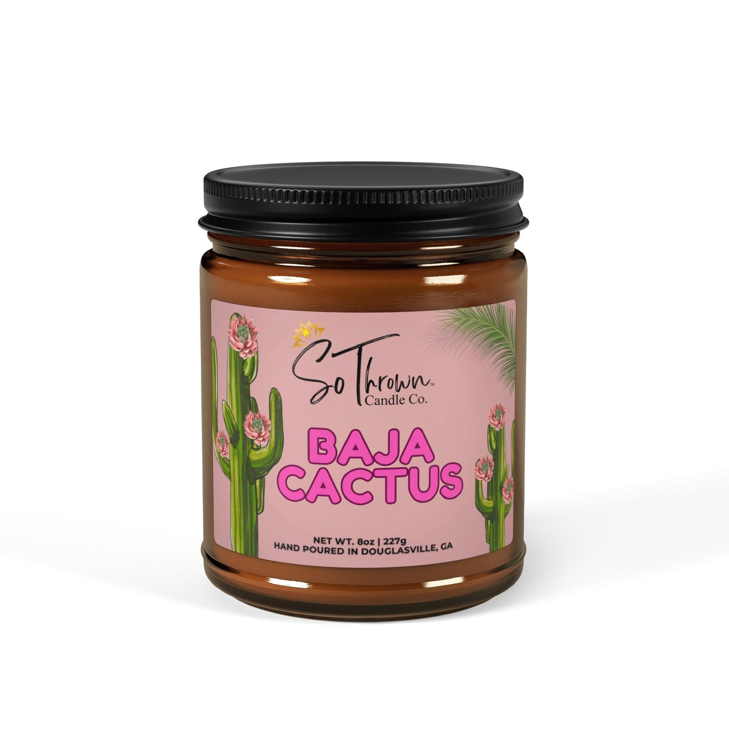 Baja Cactus